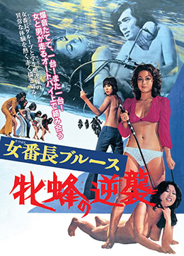 女番長(cháng)布魯斯：雌蜂的逆襲