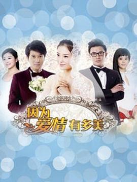 因為愛(ài)情有多美DVD(全集)