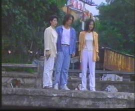 猛龍特警之天羅地網(wǎng)普通話(huà)