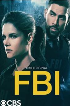 聯(lián)邦調查局第五季(全集)
