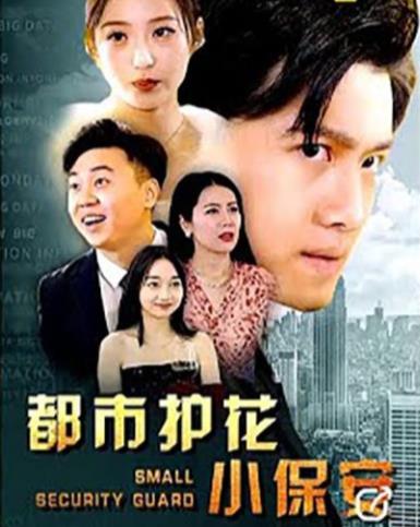 都市絕品醫婿(全集)