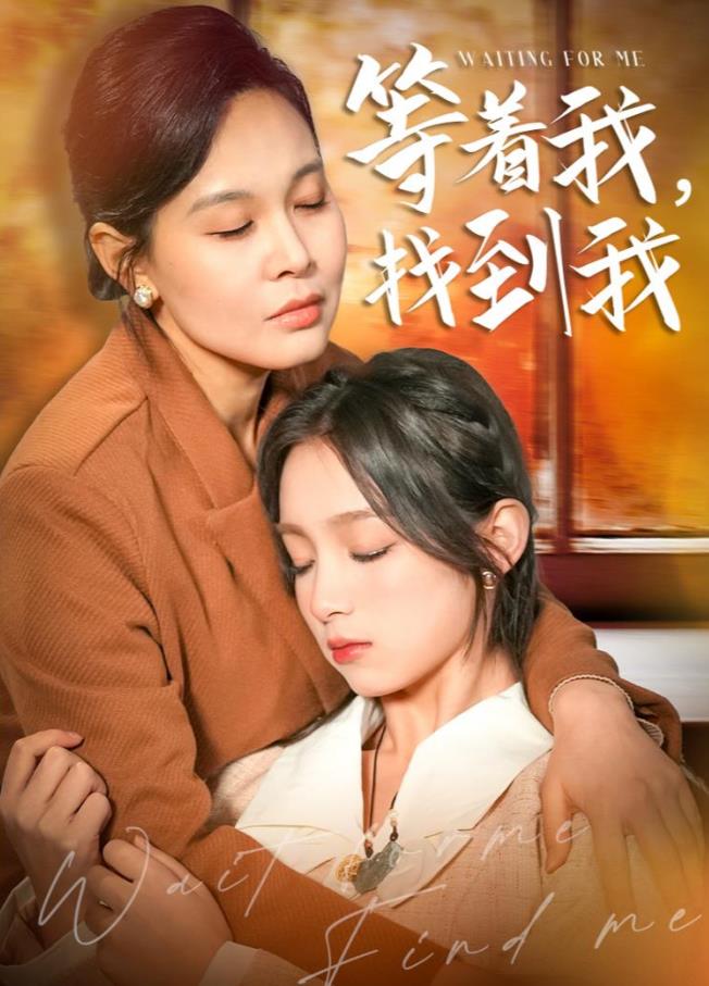 等著(zhù)我，找到我(全集)