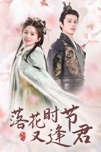 落花時(shí)節又逢君(全集)