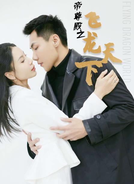 帝尊殿之飛龍天下(全集)