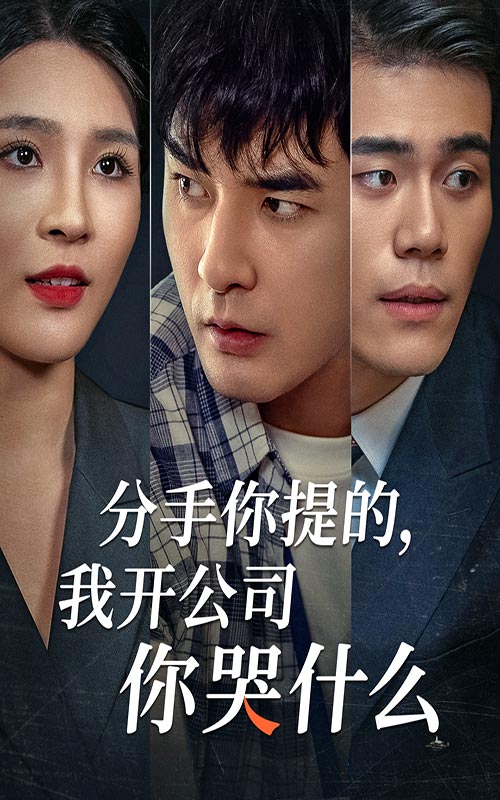分手你提的，我開(kāi)公司你哭什么(全集)