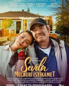 愛(ài)的強制方向