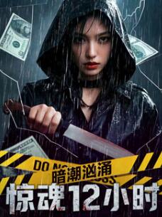 暗潮洶涌之驚魂12小時(shí)