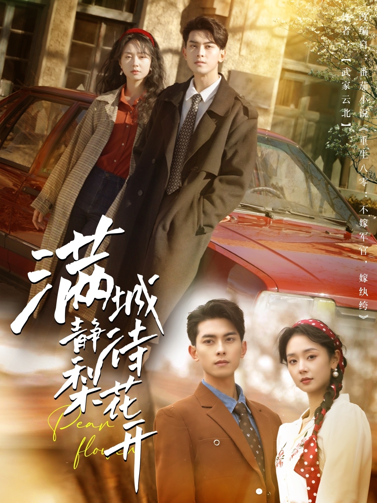 滿(mǎn)城靜待梨花開(kāi)(全集)