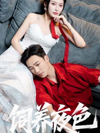 飼養夜色(全集)