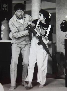 妙探1加1國語(yǔ)(全集)