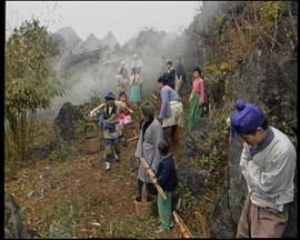 魚(yú)公主紅鯉公主(全集)