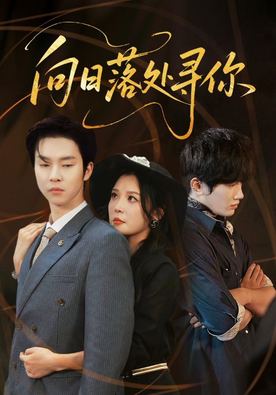 向日落處尋你(全集)