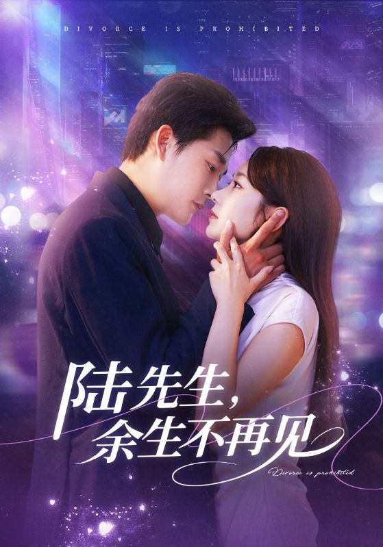 陸先生，余生不再見(jiàn)(全集)