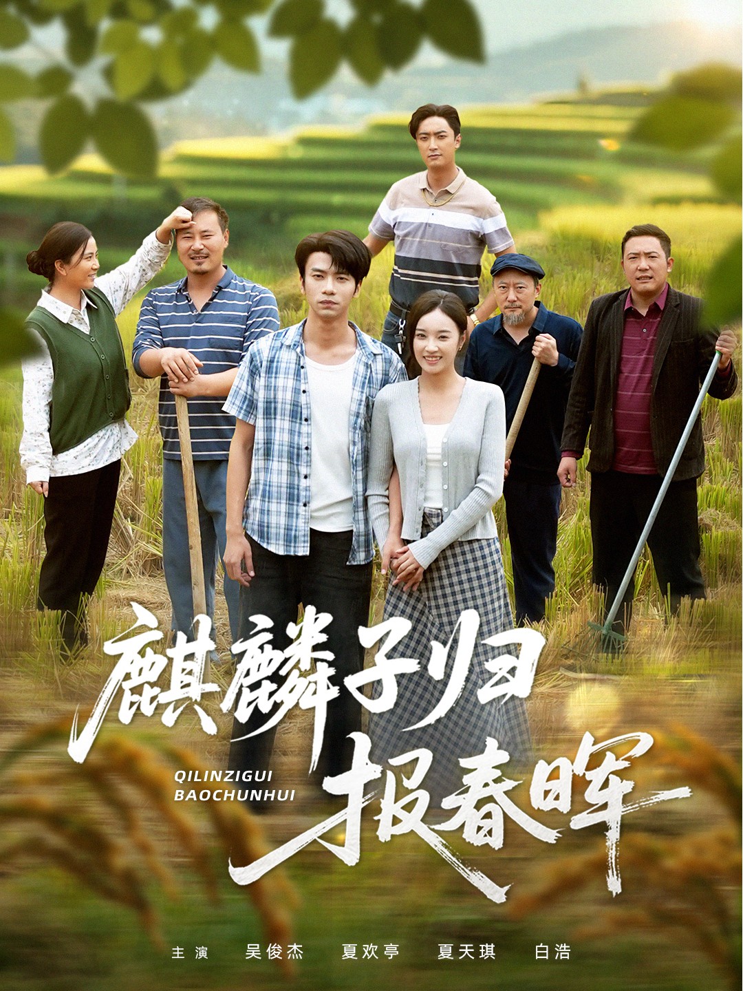 麒麟子歸報春暉(全集)