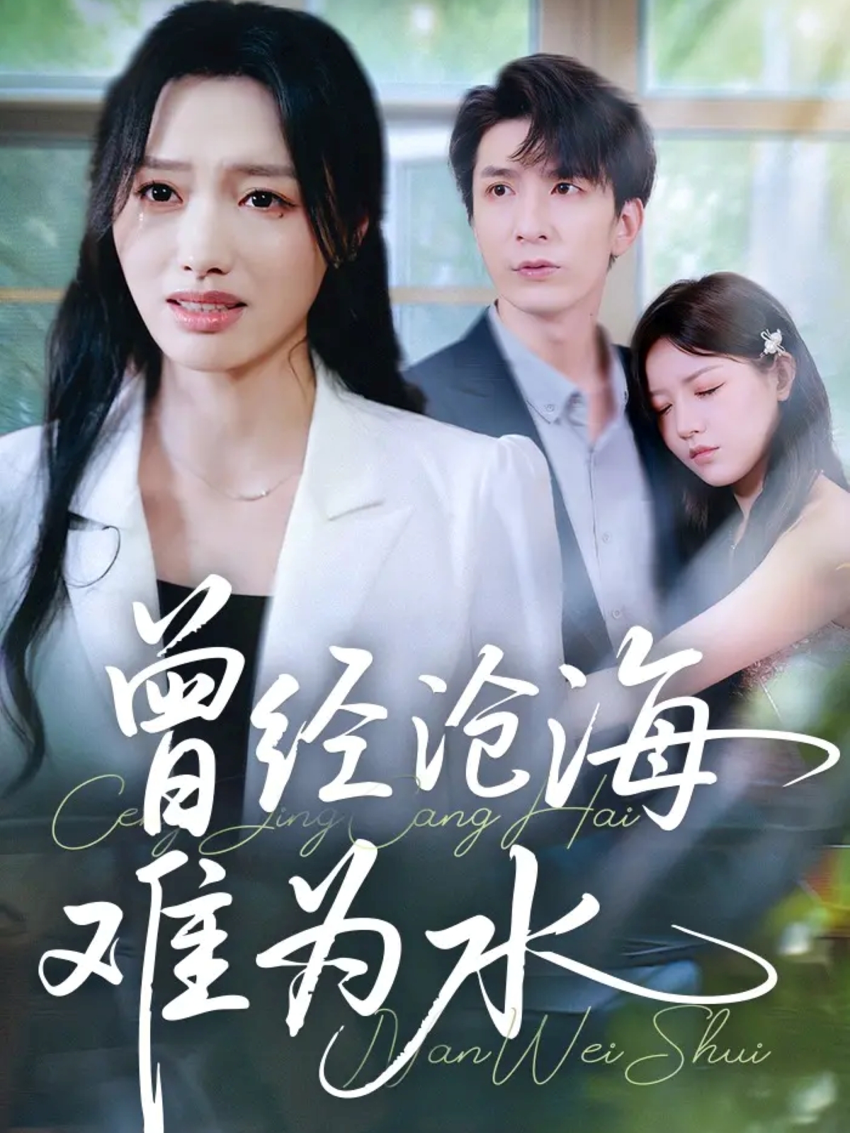 曾經(jīng)滄海難為水(全集)