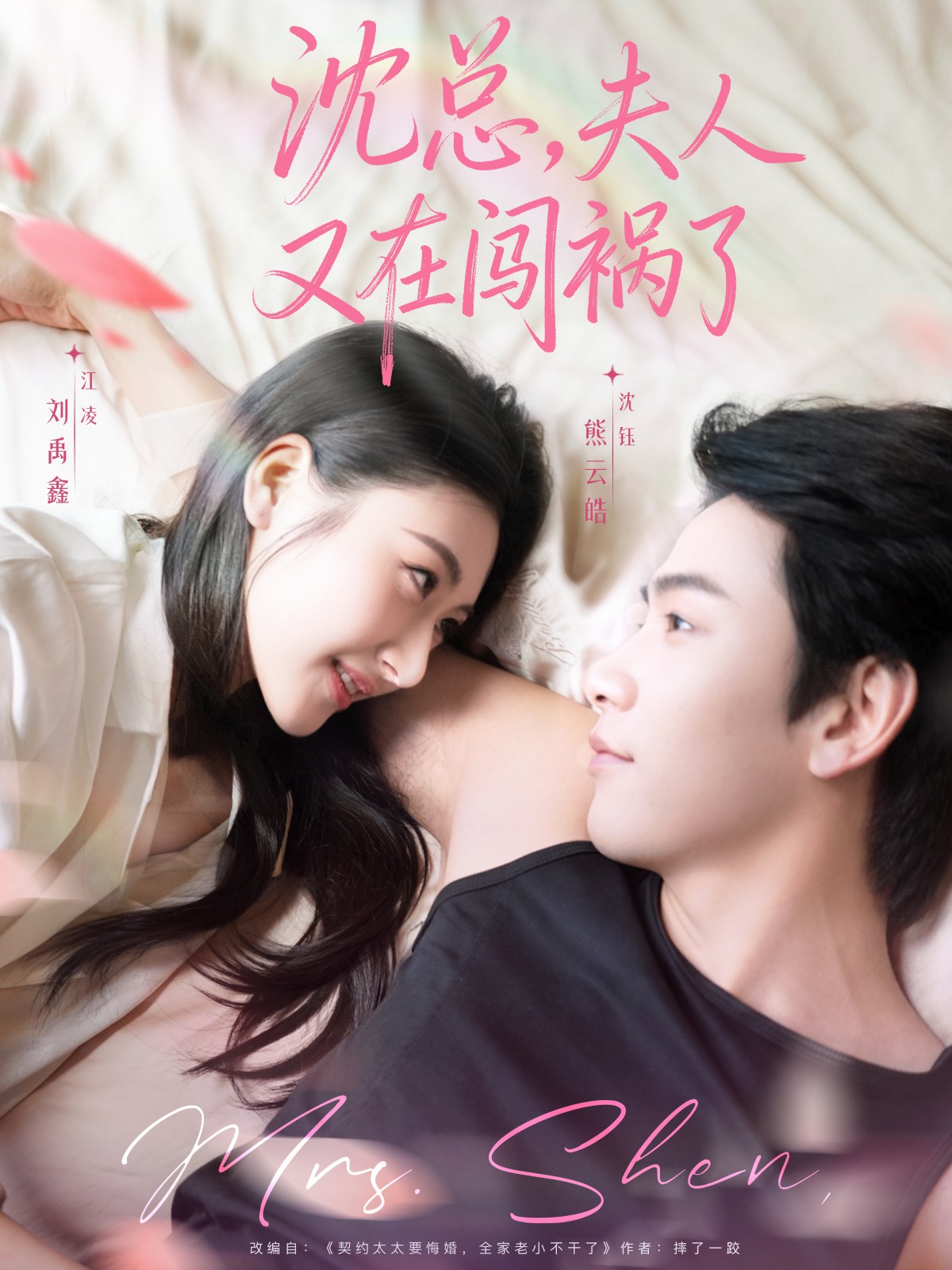 沈總，夫人又在闖禍了(全集)