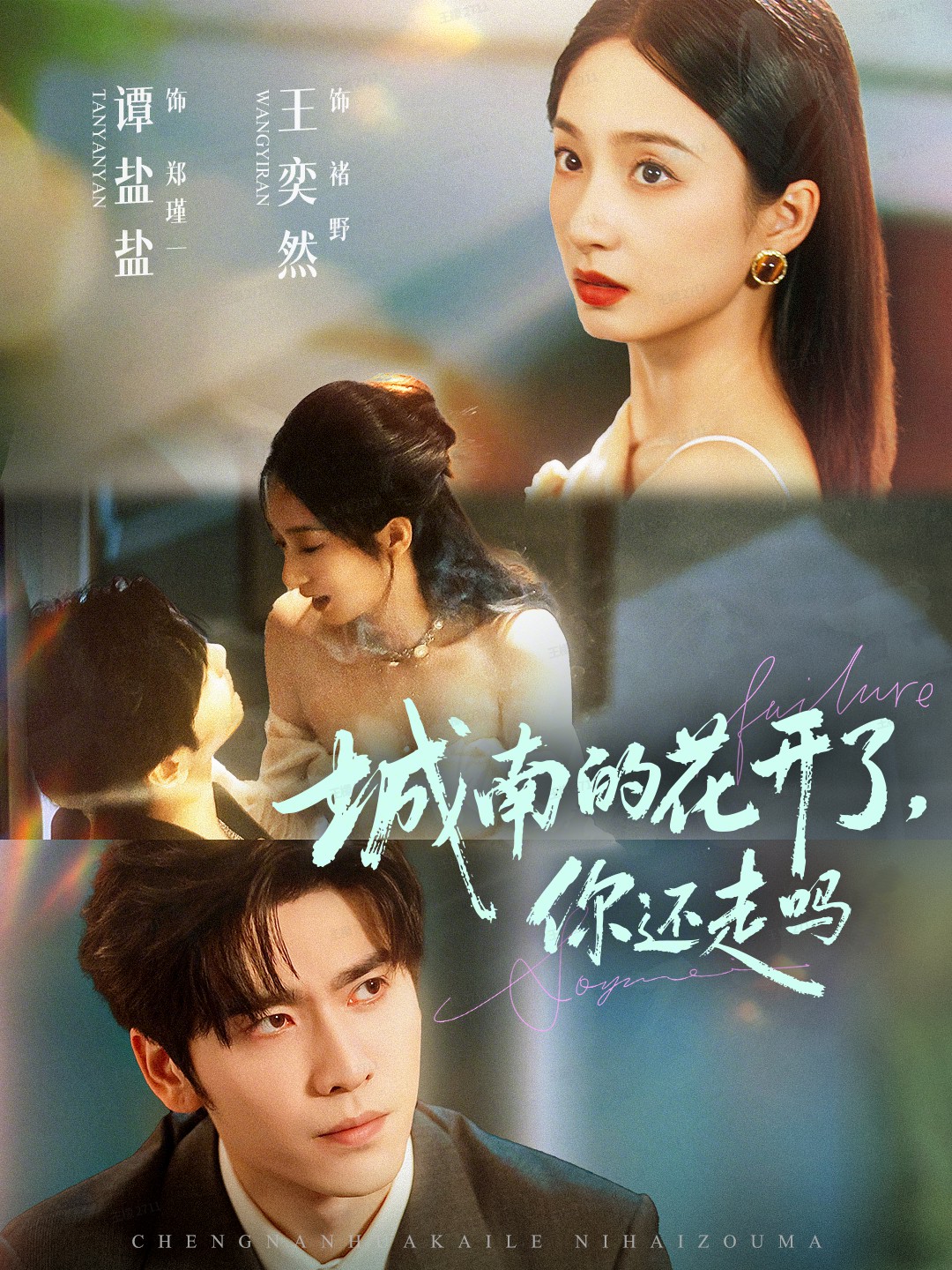 城南的花開(kāi)了，你還走嗎(全集)